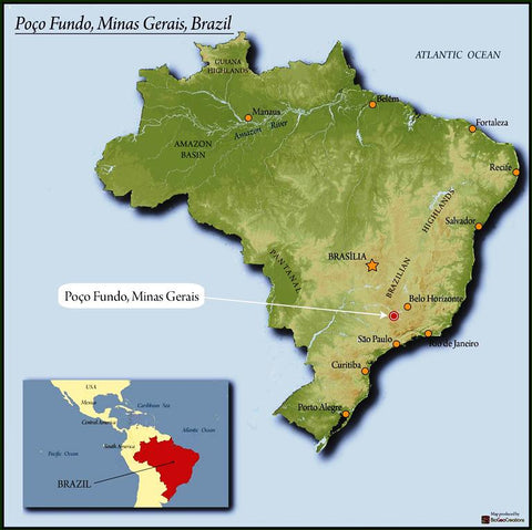 Brazil Sul de Minas (Medium-Dark) - Discounted