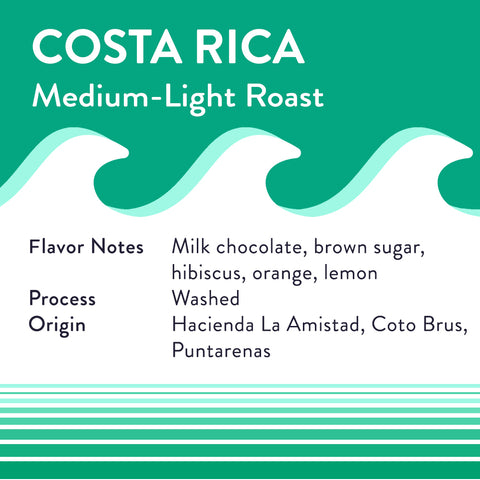 Costa Rica Finca Amistad (Medium-Light) - Discounted