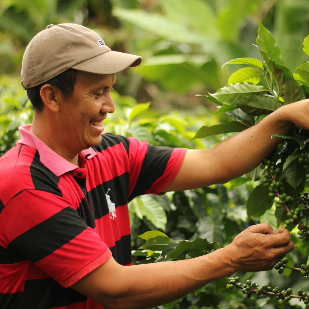 Honduras Finca Humana (Dark)