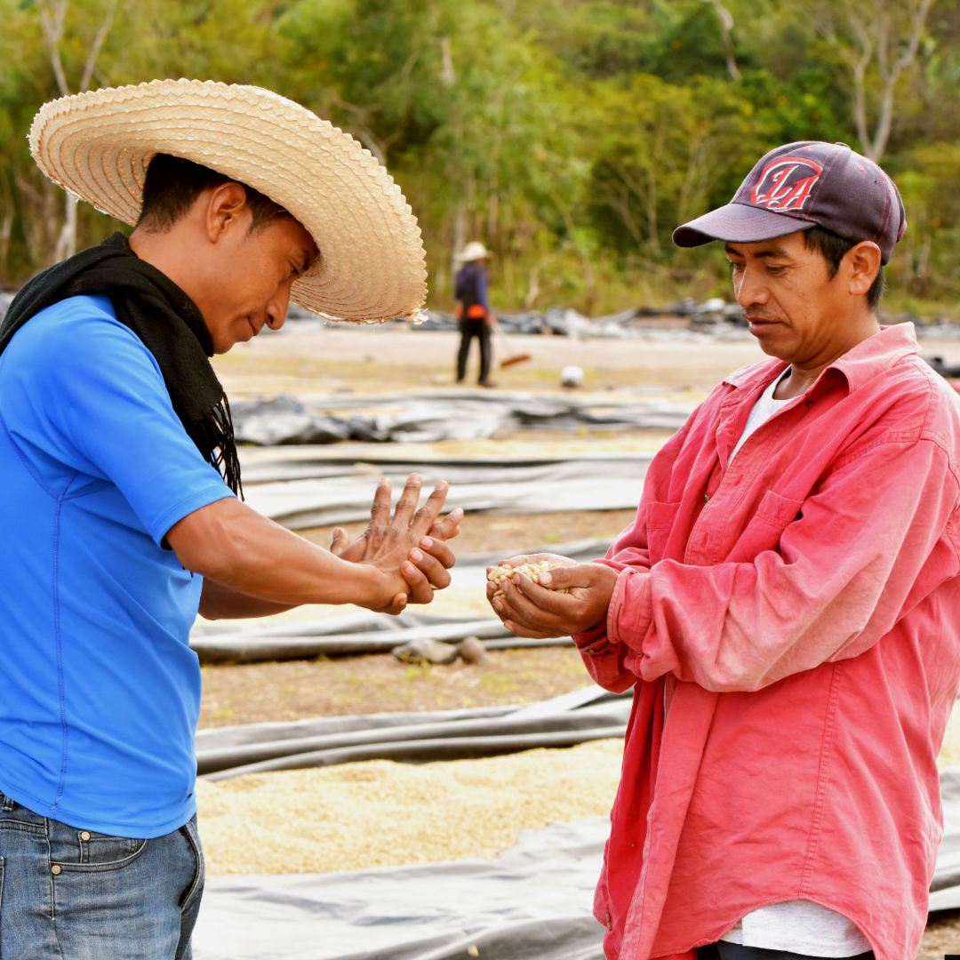 Honduras Finca Humana (Dark)