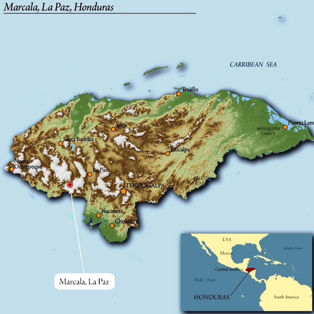 Honduras Finca Humana (Dark)