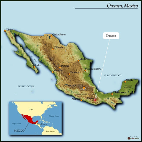 Mexico Altura (Medium-Dark)