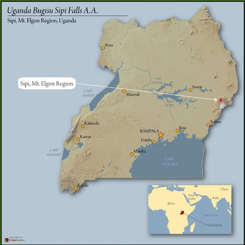 Uganda White Nile - Natural (Light Roast)