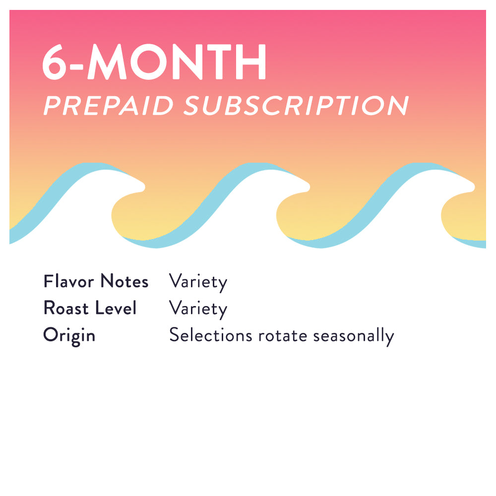 6-Month Prepaid Subscription