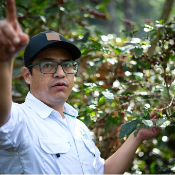 Guatemala El Guaya B