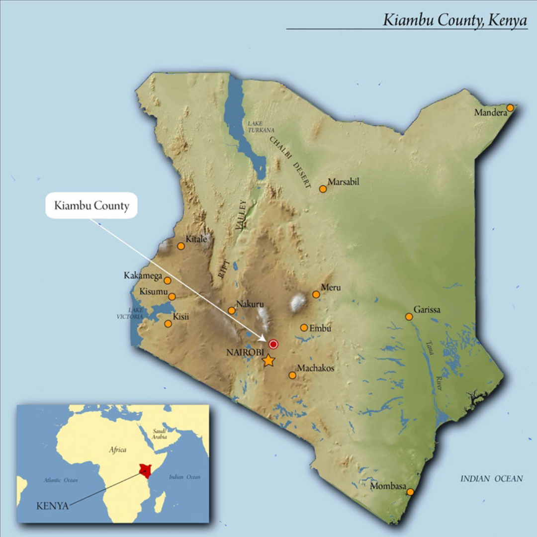 Kenya Kiambu (Medium-Light)
