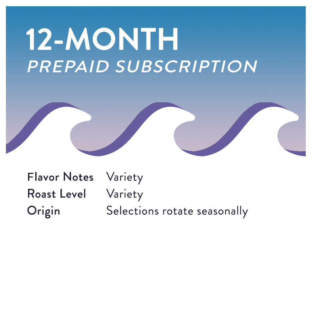 12-Month Prepaid Subscription