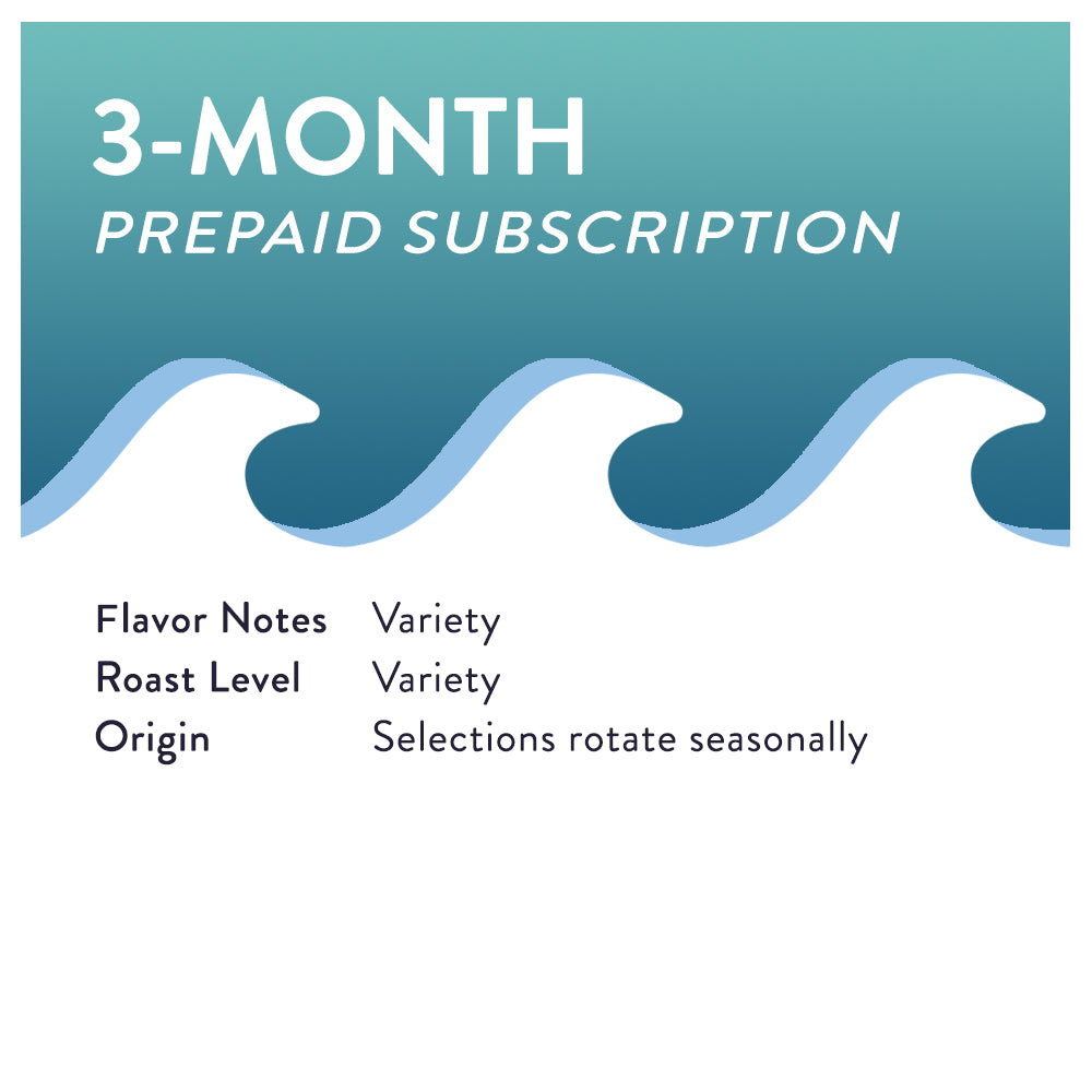 3-Month Prepaid Subscription