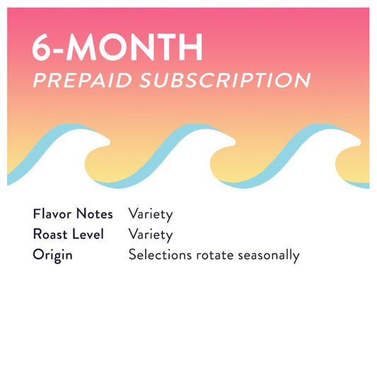 6-Month Prepaid Subscription